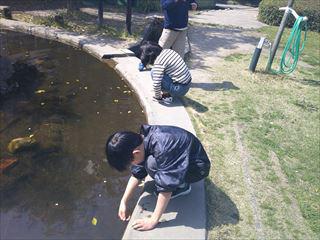 DSCF0573_R.JPG