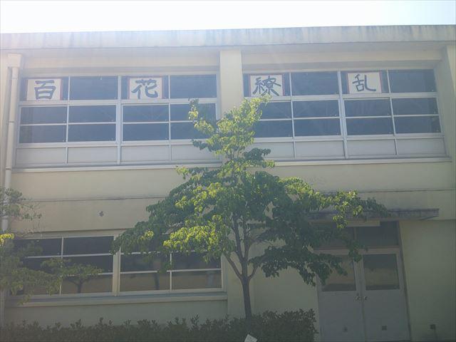 DSCF0238_R.JPG