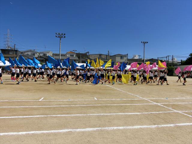 CIMG0460_R.JPG