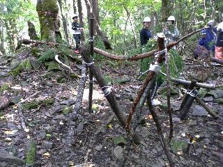 IMG_20251014_105433-1.jpg