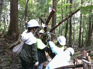 IMG_20251014_105554-1.jpg