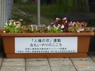 P1000655_R.JPG