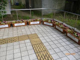 P1000653_R.JPG