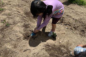 IMG_3894_R.JPG