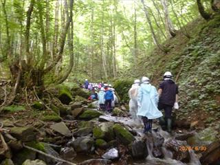P1000993_R.JPG