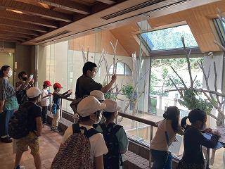 IMG_9073.jpg
