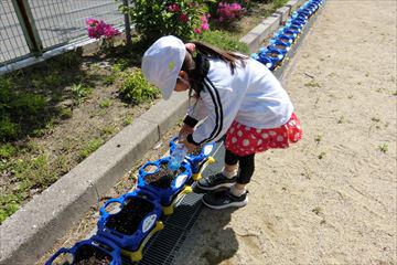 CIMG1248_R.JPG
