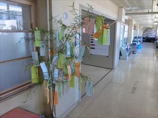 CIMG0703_R.jpg