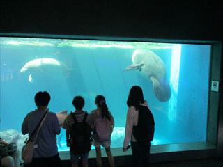 IMG_1771_R.JPG