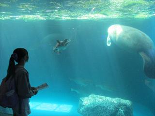 IMG_1774_R.JPG