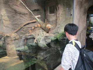 IMG_1779_R.JPG