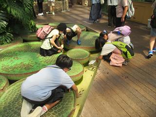 IMG_1780_R.JPG