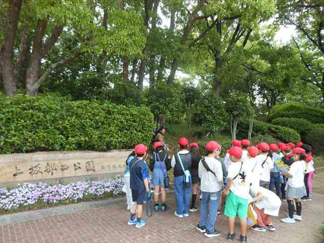 DSCN5468_R.JPG