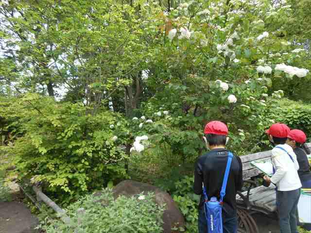 DSCN5473_R.JPG