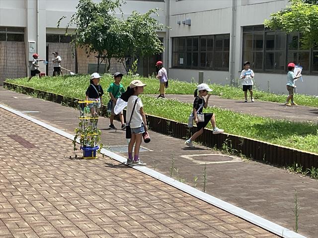 IMG_0620_R.JPG