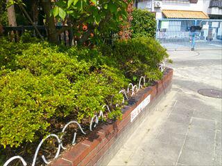 DSCF0093_R.JPG