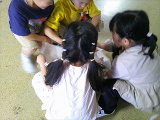 DSCF0081_R.JPG