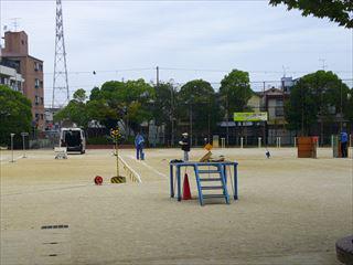 DSCF0136_R.JPG