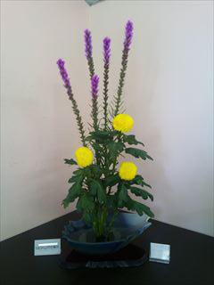 DSCF0187_R.JPG