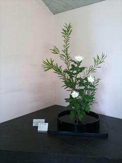 DSCF0373_R.JPG