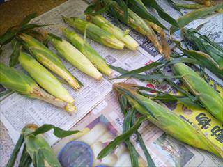 DSCF0494_R.JPG