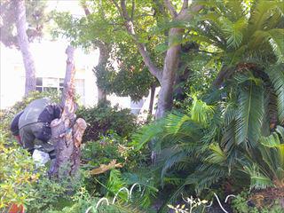 DSCF0091_R.JPG