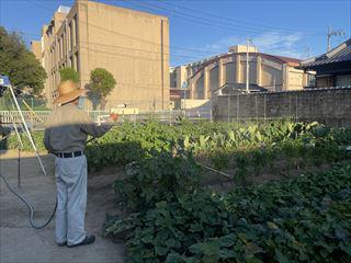 IMG_6217_R.jpg