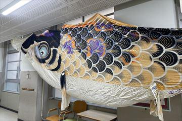 IMG_3569_R.jpg