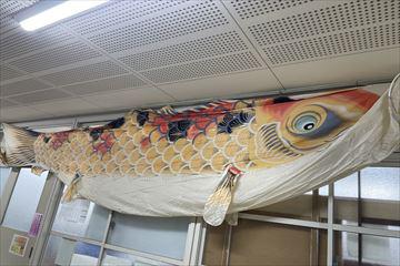 IMG_3373_R.jpg
