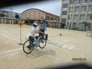 IMG_4272_R.JPG