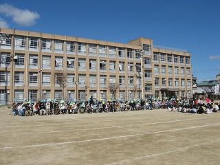 IMG_0433.jpg