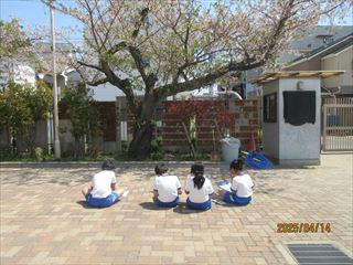 IMG_1216_R.JPG