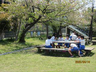 IMG_1217_R.JPG