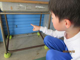 IMG_1288_R.JPG