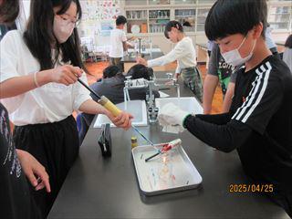 IMG_1342_R.JPG