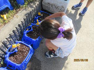 IMG_1420_R.JPG
