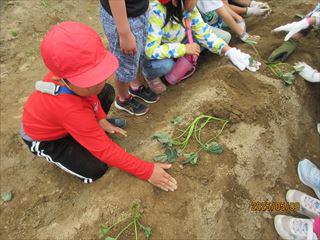IMG_1440_R.JPG