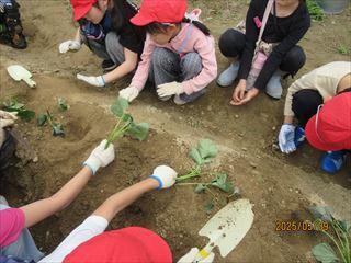 IMG_1441_R.JPG