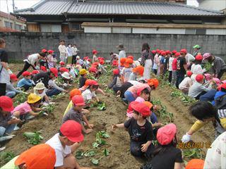 IMG_1464_R.JPG