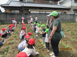 IMG_1465_R.JPG