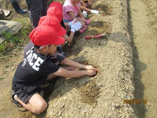 IMG_1514_R.JPG