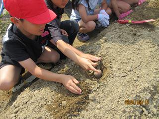 IMG_1515_R.JPG