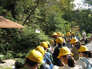 IMG_1521.jpg