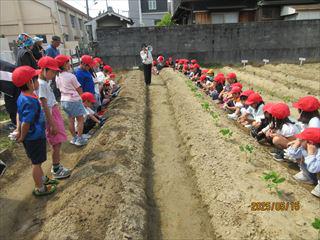 IMG_1521_R.JPG