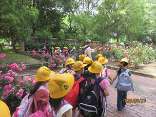 IMG_1584_R.JPG