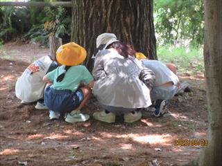 IMG_1610_R.JPG