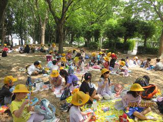 IMG_1617_R.JPG