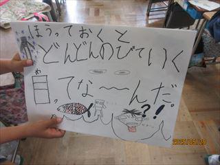 IMG_1693_R.JPG
