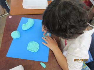 IMG_1706_R.JPG