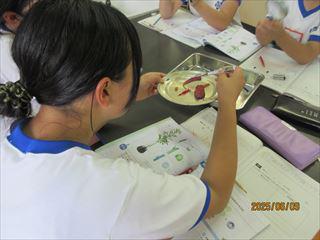 IMG_1777_R.JPG